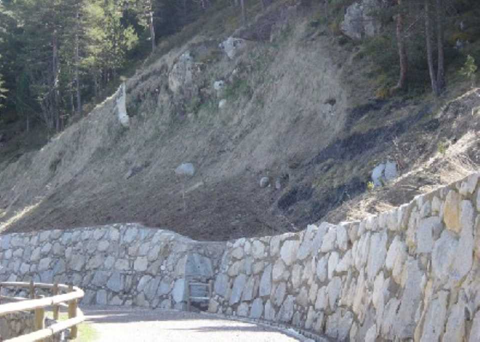 Estabilització i restauració ambiental de la carretera de les Pardines