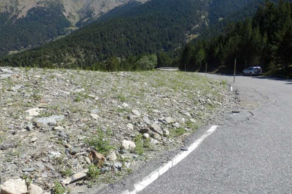 Environmental restoring of the slopes located in the crossroads of La Rabassa (CS 130) and La Pegura (CS 131) roads. Parròquia of Sant Julià de Lòria
